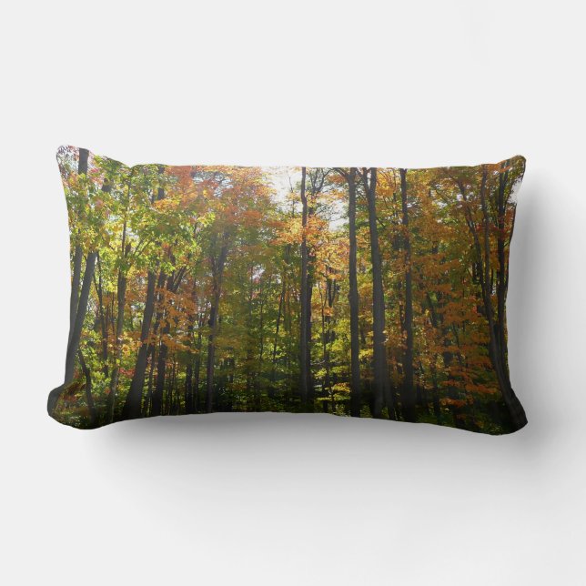 Sunlit Fall Forest Autumn Landscape Lumbar Pillow (Front)