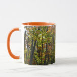 Sunlit Fall Forest Autumn Landscape Mug