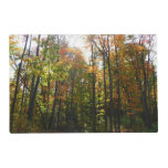 Sunlit Fall Forest Autumn Landscape Placemat