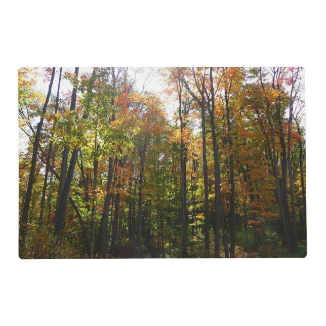 Sunlit Fall Forest Autumn Landscape Placemat (Front)