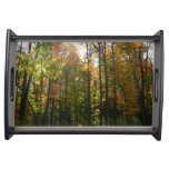 Sunlit Fall Forest Autumn Landscape Serving Tray