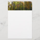 Sunlit Fall Forest Autumn Landscape Stationery