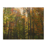 Sunlit Fall Forest Autumn Landscape Wood Wall Art