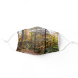 Sunlit Fall Trail Adult Cloth Face Mask