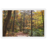 Sunlit Fall Trail in Laurel Hill State Park Acrylic Tray