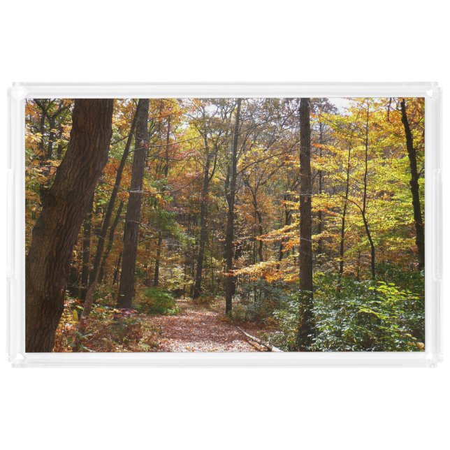 Sunlit Fall Trail in Laurel Hill State Park Acrylic Tray (Front)