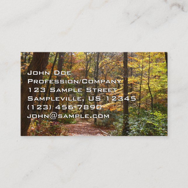 Sunlit Fall Trail in Laurel Hill State Park Business Card (Front)