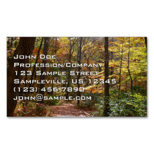Sunlit Fall Trail in Laurel Hill State Park Business Card Magnet