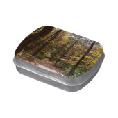 Sunlit Fall Trail in Laurel Hill State Park Candy Tin (Side)