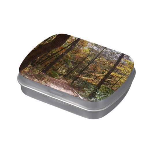 Sunlit Fall Trail in Laurel Hill State Park Candy Tin (Side)