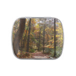 Sunlit Fall Trail in Laurel Hill State Park Candy Tin