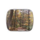 Sunlit Fall Trail in Laurel Hill State Park Candy Tin (Top)