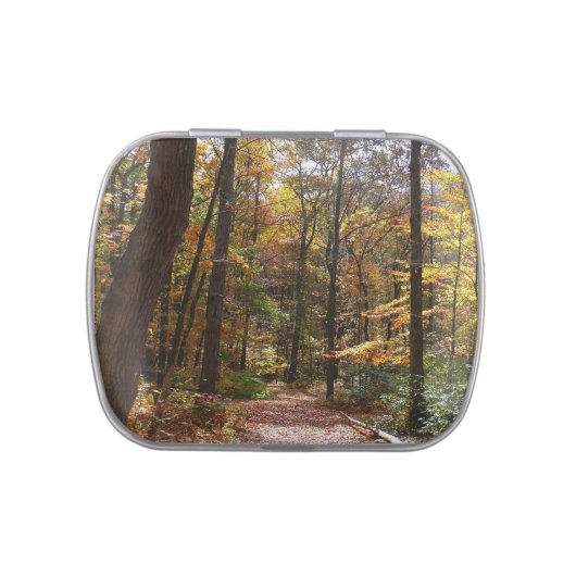 Sunlit Fall Trail in Laurel Hill State Park Candy Tin (Top)