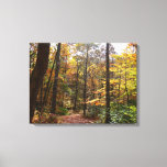 Sunlit Fall Trail in Laurel Hill State Park Canvas Print