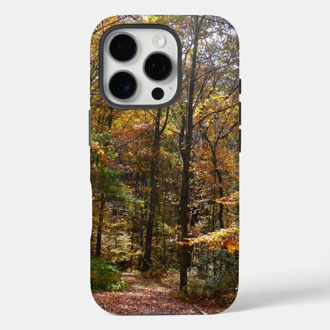 Sunlit Fall Trail in Laurel Hill State Park Case-Mate iPhone Case (Back)