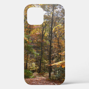Sunlit Fall Trail in Laurel Hill State Park iPhone 12 Case
