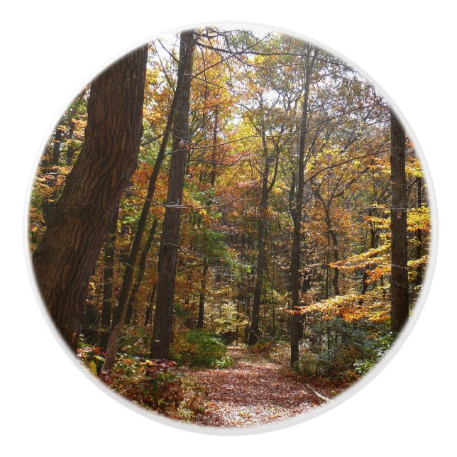Sunlit Fall Trail in Laurel Hill State Park Ceramic Knob (Front)