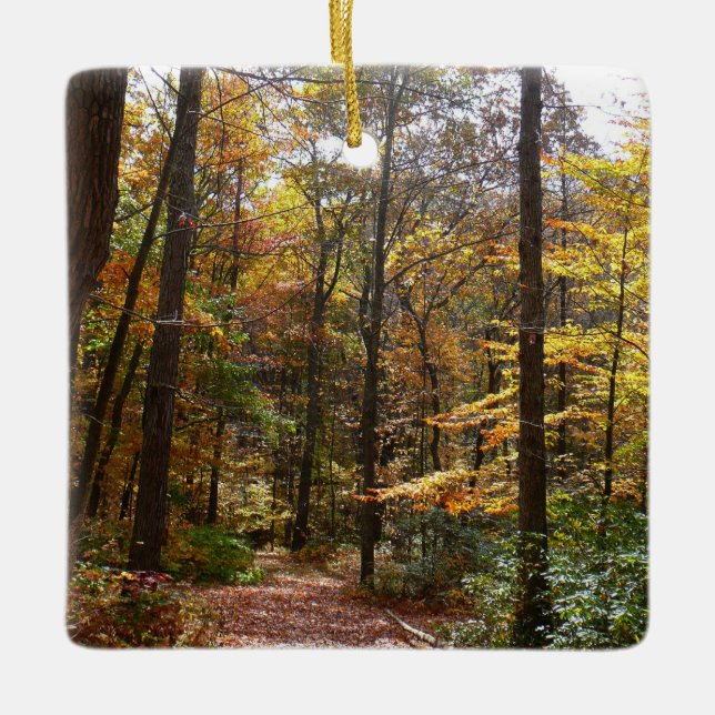 Sunlit Fall Trail in Laurel Hill State Park Ceramic Ornament (Front)