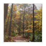 Sunlit Fall Trail in Laurel Hill State Park Ceramic Tile