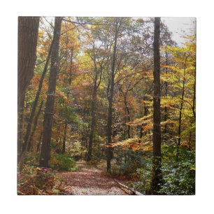 Sunlit Fall Trail in Laurel Hill State Park Ceramic Tile