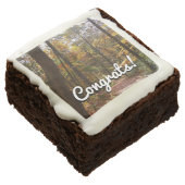 Sunlit Fall Trail in Laurel Hill State Park Chocolate Brownie (Angled)