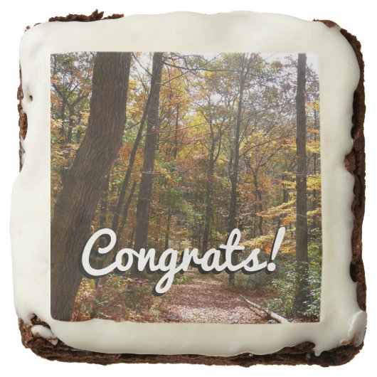 Sunlit Fall Trail in Laurel Hill State Park Chocolate Brownie (Front)