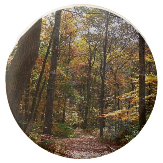 Sunlit Fall Trail in Laurel Hill State Park Chocolate Covered Oreo (Front)