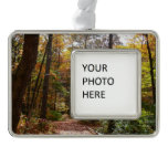 Sunlit Fall Trail in Laurel Hill State Park Christmas Ornament