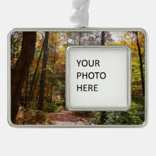Sunlit Fall Trail in Laurel Hill State Park Christmas Ornament