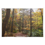 Sunlit Fall Trail in Laurel Hill State Park Cloth Placemat