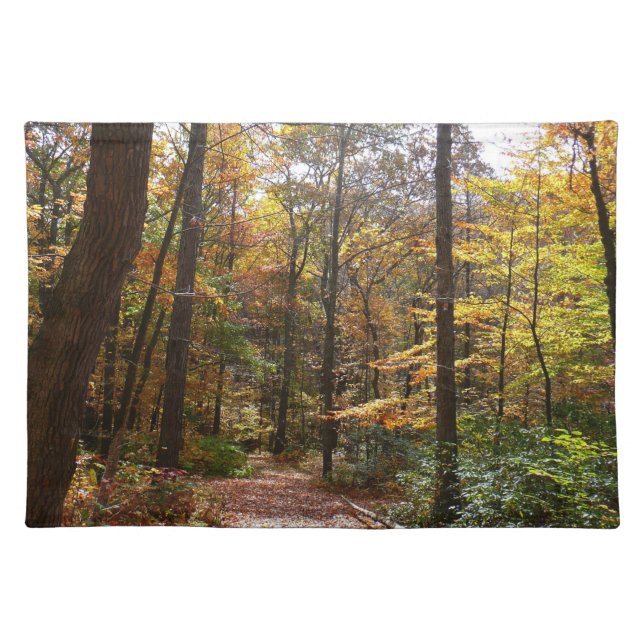 Sunlit Fall Trail in Laurel Hill State Park Cloth Placemat (Front)