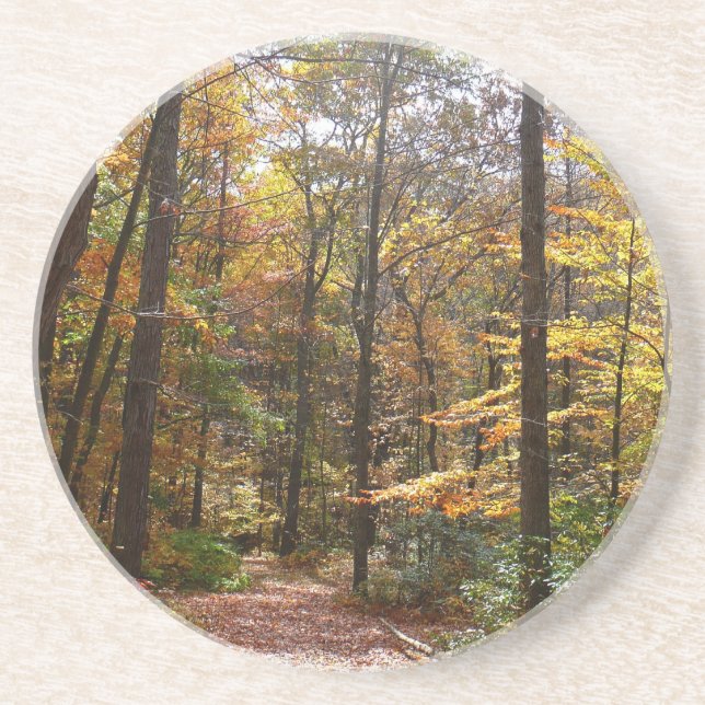 Sunlit Fall Trail in Laurel Hill State Park Coaster (Front)