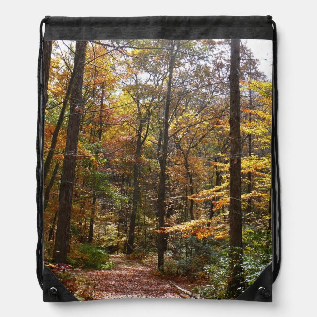 Sunlit Fall Trail in Laurel Hill State Park Drawstring Bag (Front)