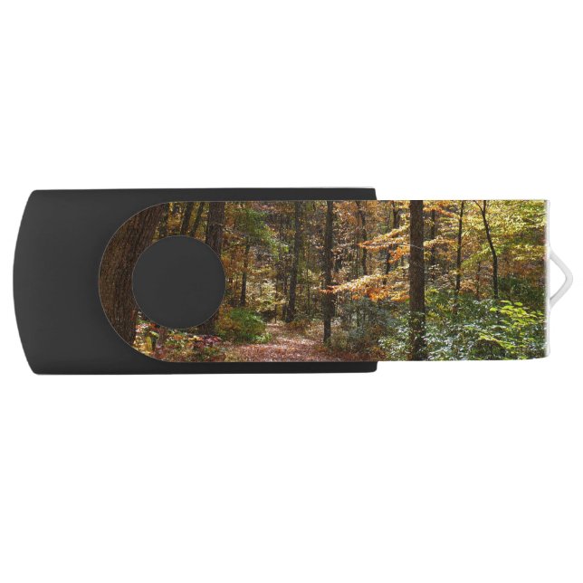 Sunlit Fall Trail in Laurel Hill State Park Flash Drive (Front)