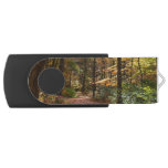 Sunlit Fall Trail in Laurel Hill State Park Flash Drive