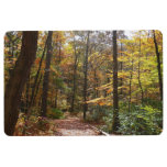 Sunlit Fall Trail in Laurel Hill State Park Floor Mat