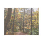 Sunlit Fall Trail in Laurel Hill State Park Gallery Wrap