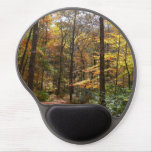 Sunlit Fall Trail in Laurel Hill State Park Gel Mouse Pad