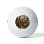 Sunlit Fall Trail in Laurel Hill State Park Golf Balls
