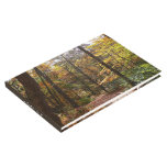 Sunlit Fall Trail in Laurel Hill State Park Guest Book