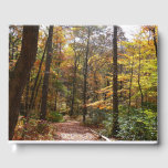 Sunlit Fall Trail in Laurel Hill State Park Guest Book