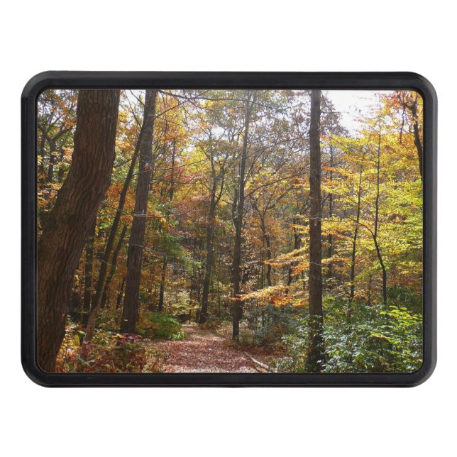 Sunlit Fall Trail in Laurel Hill State Park Hitch Cover (Front)