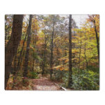 Sunlit Fall Trail in Laurel Hill State Park Jigsaw Puzzle