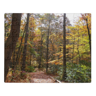 Sunlit Fall Trail in Laurel Hill State Park Jigsaw Puzzle