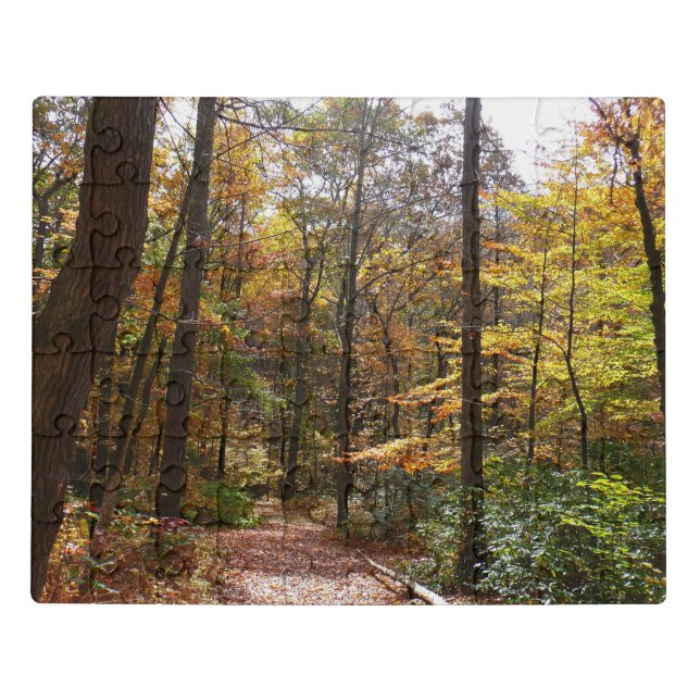 Sunlit Fall Trail in Laurel Hill State Park Jigsaw Puzzle (Puzzle Horizontal)