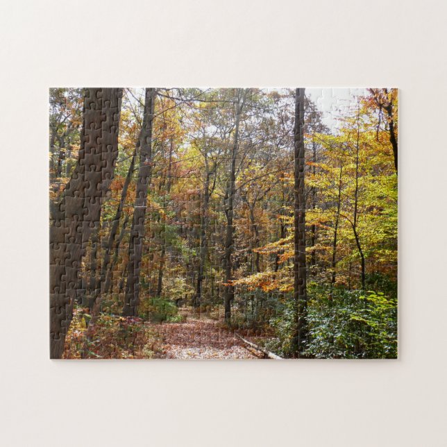 Sunlit Fall Trail in Laurel Hill State Park Jigsaw Puzzle (Horizontal)