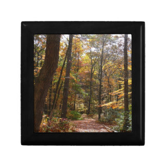 Sunlit Fall Trail in Laurel Hill State Park Keepsake Box