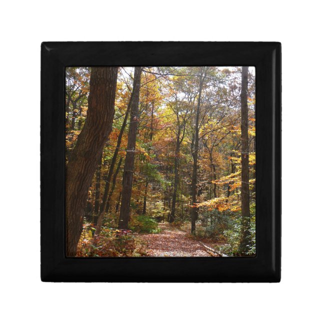 Sunlit Fall Trail in Laurel Hill State Park Keepsake Box (Front)
