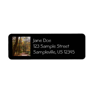 Sunlit Fall Trail in Laurel Hill State Park Label