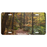 Sunlit Fall Trail in Laurel Hill State Park License Plate